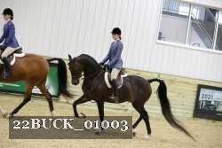 22BUCK_01003 proof