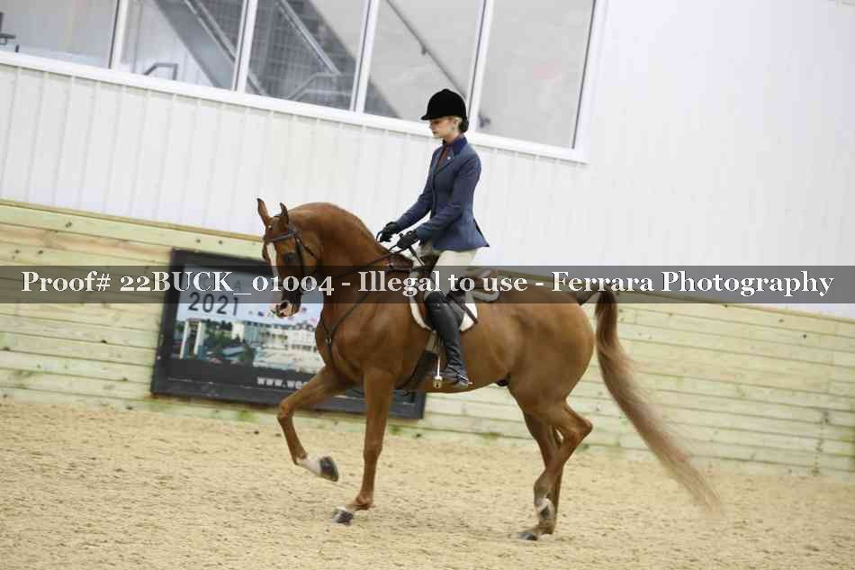 Proof 22BUCK_01004