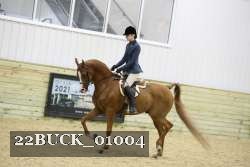 22BUCK_01004 proof