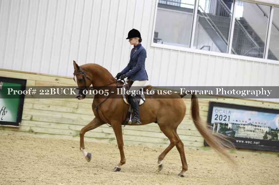 Proof 22BUCK_01005