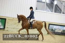 22BUCK_01005 proof
