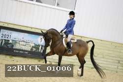 22BUCK_01006 proof