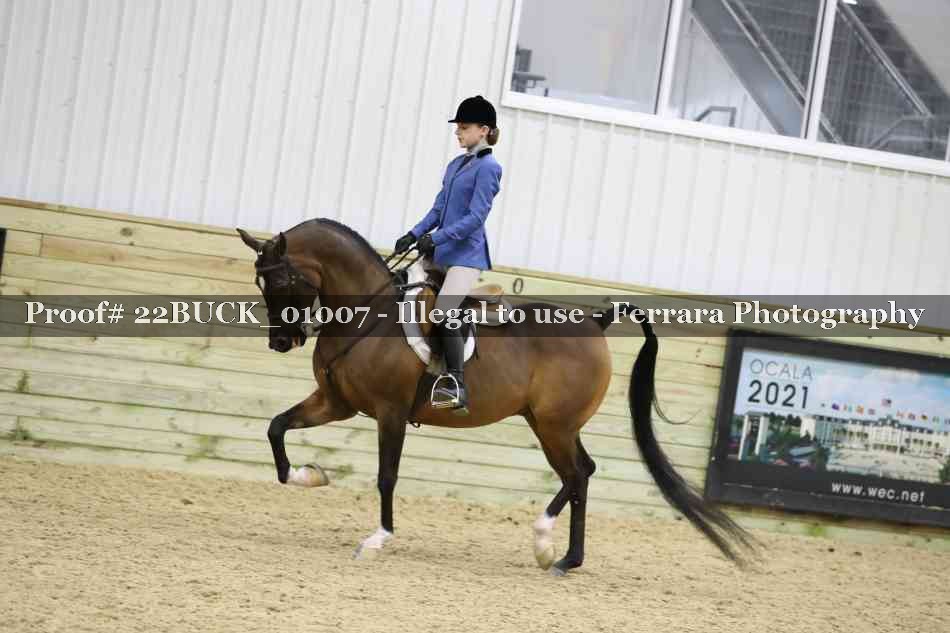 Proof 22BUCK_01007