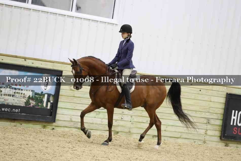 Proof 22BUCK_01008