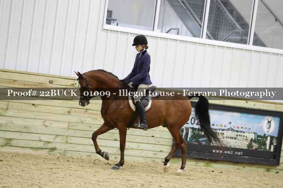 Proof 22BUCK_01009