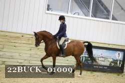22BUCK_01009 proof
