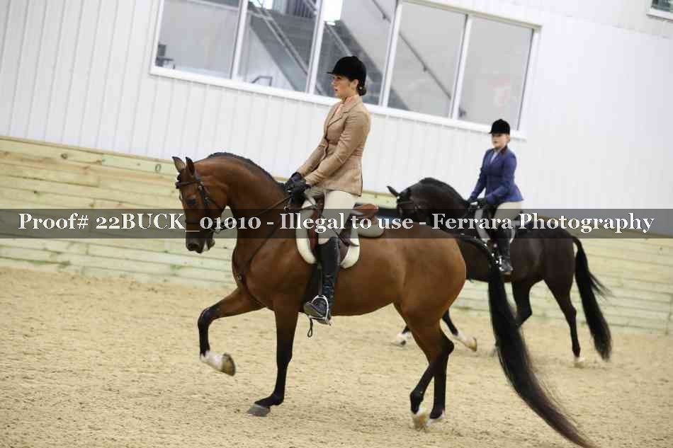 Proof 22BUCK_01010