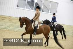 22BUCK_01010 proof