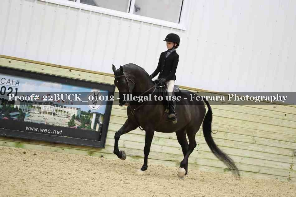 Proof 22BUCK_01012