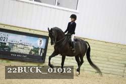 22BUCK_01012 proof