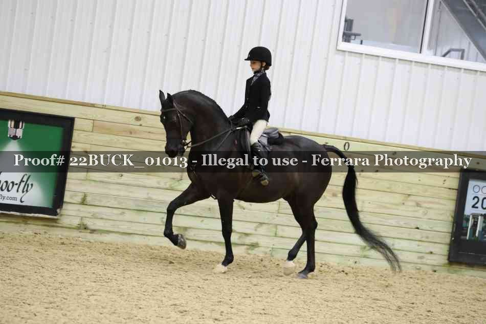 Proof 22BUCK_01013