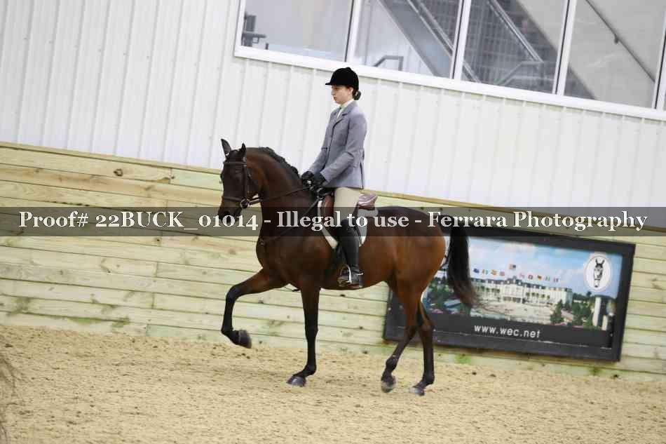 Proof 22BUCK_01014