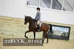 22BUCK_01014 proof