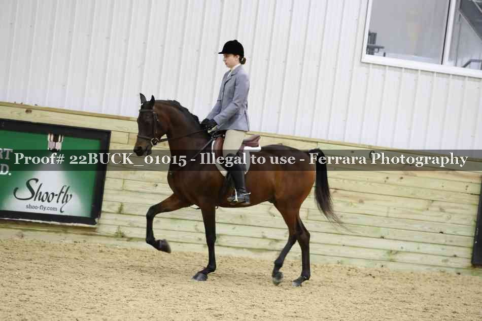 Proof 22BUCK_01015