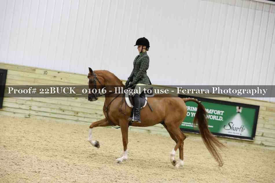 Proof 22BUCK_01016