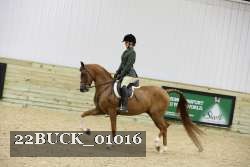 22BUCK_01016 proof