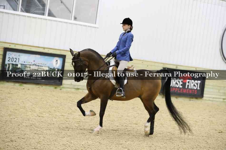 Proof 22BUCK_01017