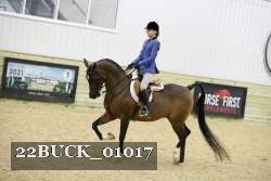22BUCK_01017 proof
