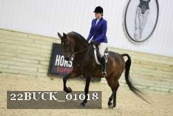 22BUCK_01018 proof