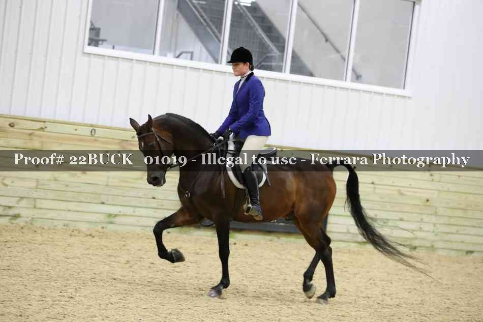 Proof 22BUCK_01019