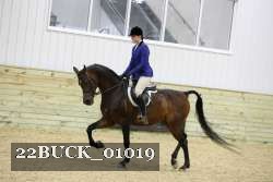 22BUCK_01019 proof