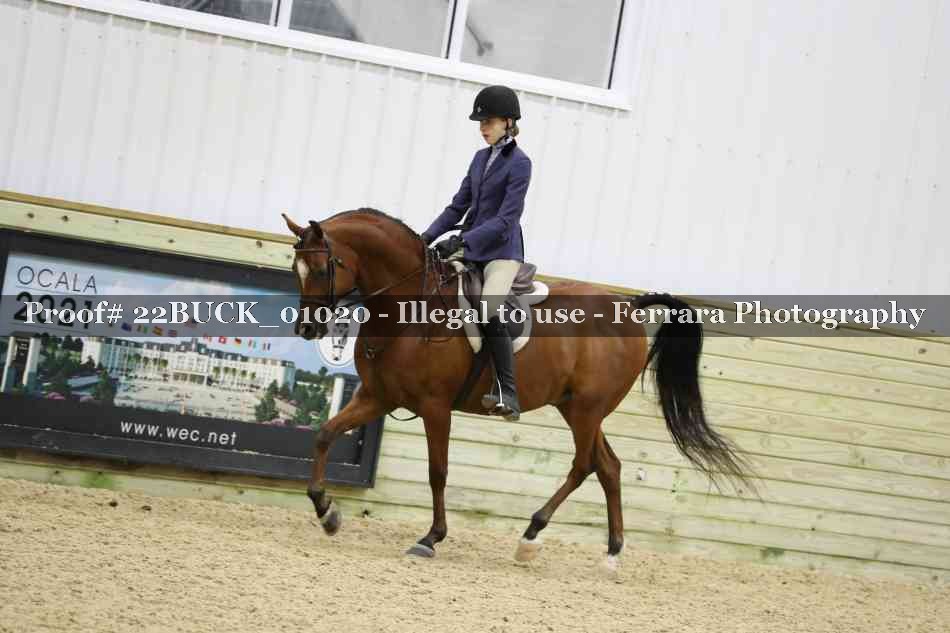 Proof 22BUCK_01020
