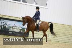 22BUCK_01020 proof