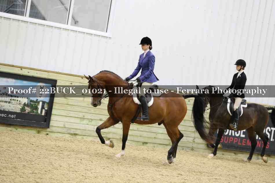 Proof 22BUCK_01021