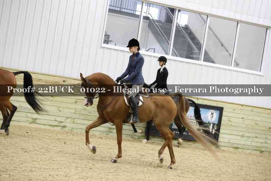 Proof 22BUCK_01022