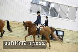 22BUCK_01022 proof