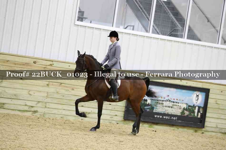 Proof 22BUCK_01023
