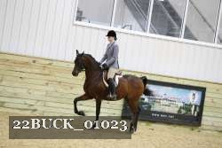 22BUCK_01023 proof