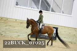 22BUCK_01025 proof