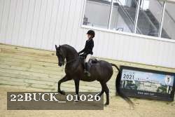 22BUCK_01026 proof