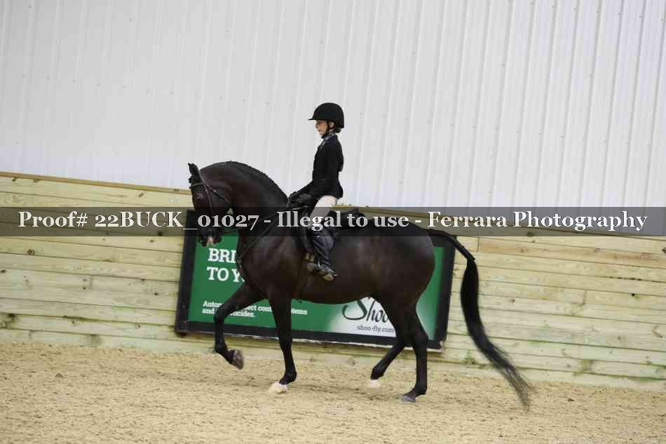 Proof 22BUCK_01027