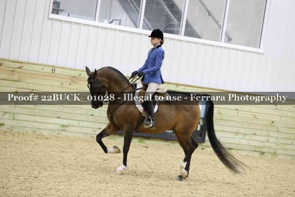 Proof 22BUCK_01028