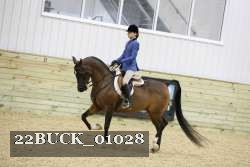 22BUCK_01028 proof