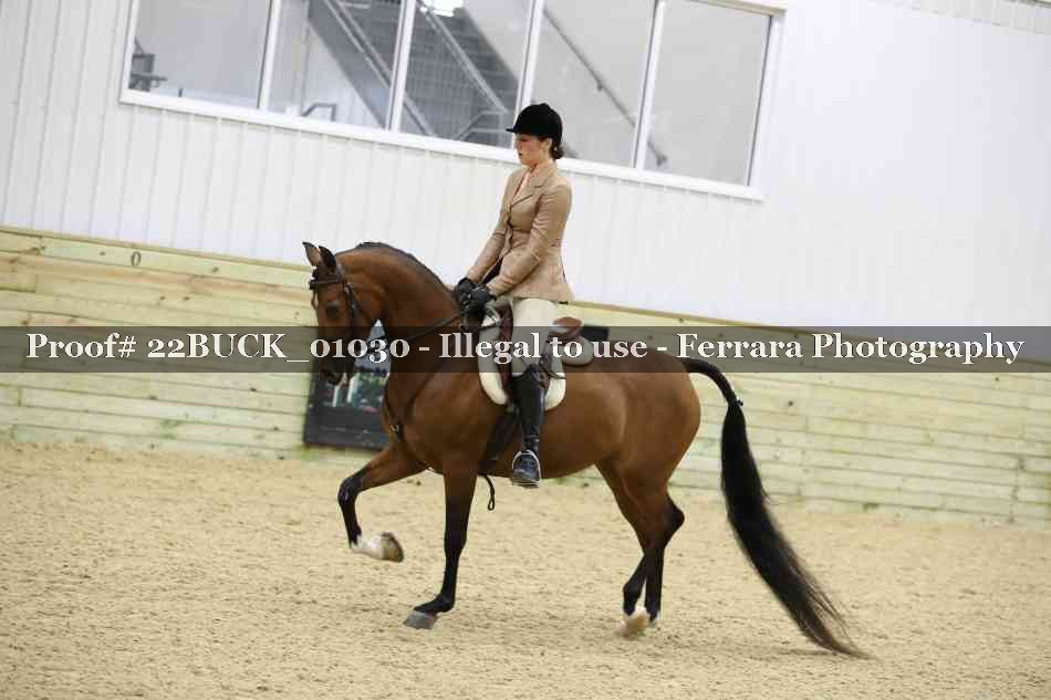 Proof 22BUCK_01030