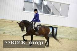 22BUCK_01031 proof