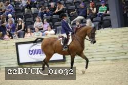 22BUCK_01032 proof