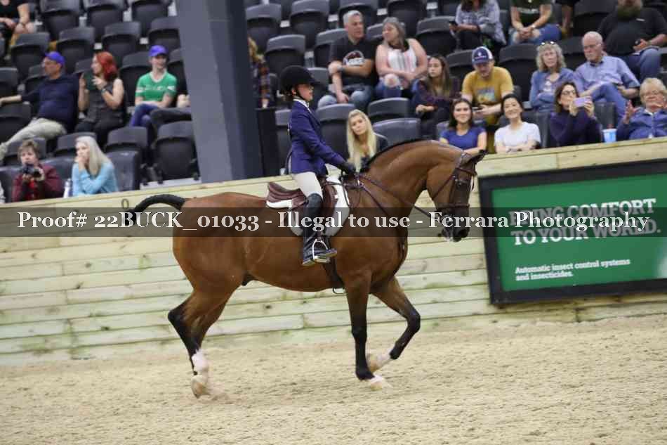 Proof 22BUCK_01033