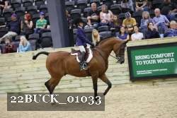22BUCK_01033 proof