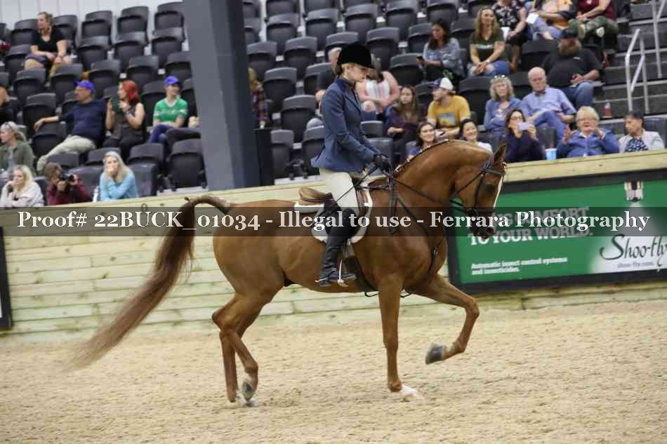 Proof 22BUCK_01034