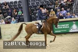22BUCK_01034 proof