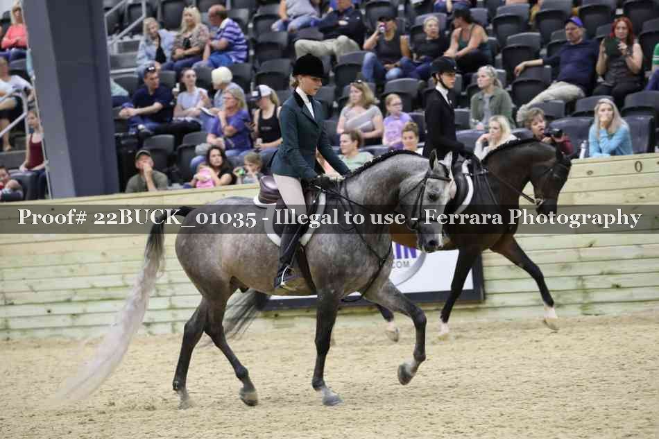 Proof 22BUCK_01035