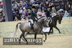 22BUCK_01035 proof
