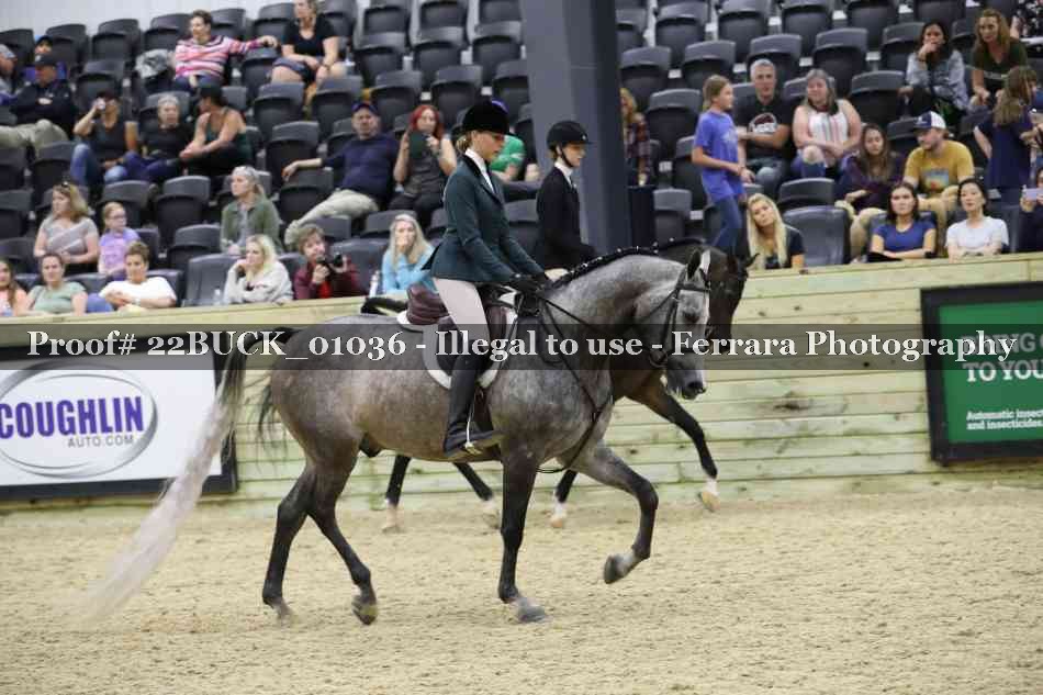 Proof 22BUCK_01036