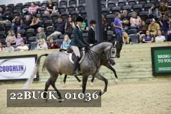 22BUCK_01036 proof