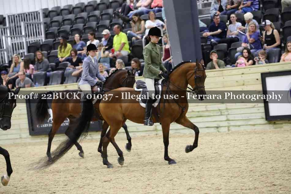 Proof 22BUCK_01037