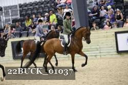 22BUCK_01037 proof